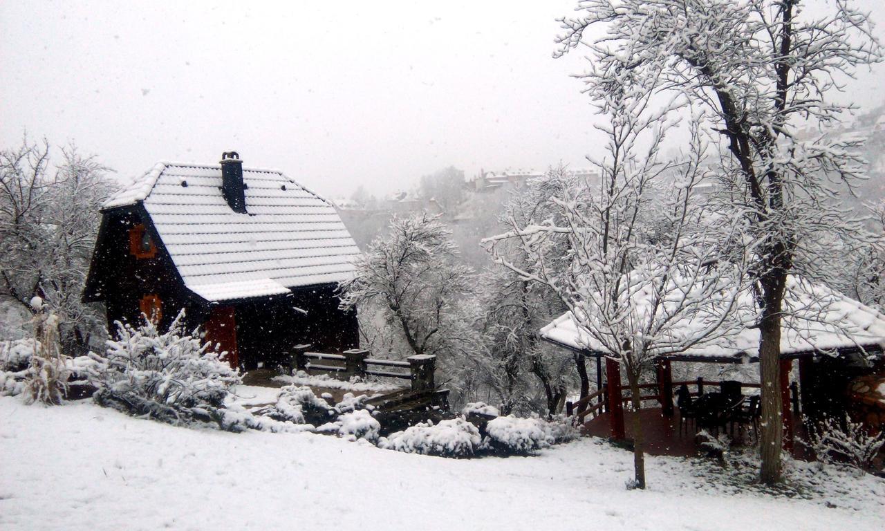 Vacation Home Nana Mokra Gora Kültér fotó